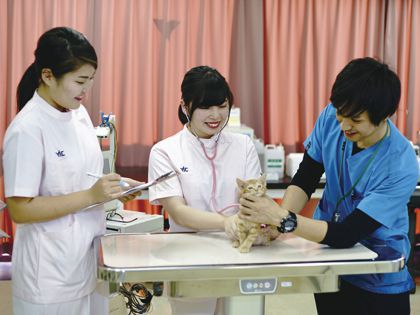 動物看護科 動物看護師のおしごと! ~血液検査をやってみよう!~ のイメージ