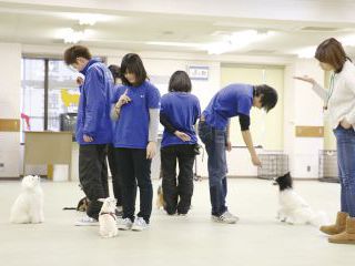 ペット総合科&動物看護科 ペットのおしごとを知ろう! のイメージ