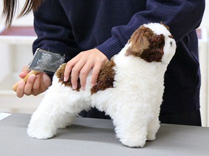 【来校型】ペット総合科 トリマーコース ドッグマネキンのカット実習体験 のイメージ