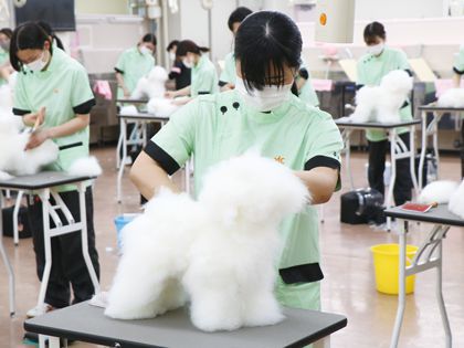 【来校型】ペット総合科 トリマーコース ドッグマネキンのカット実習体験 のイメージ