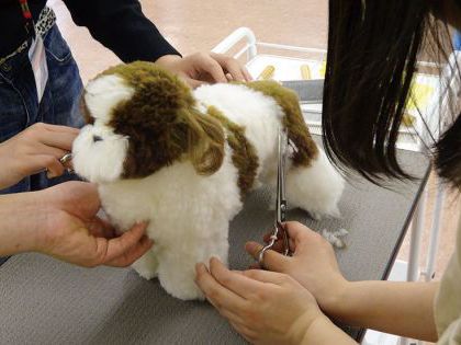 ペット総合科 トリマーコース ドッグマネキンのカット実習体験 のイメージ