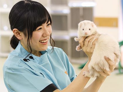 ペット総合科 ペットアドバイザーコース 小動物について学ぼう!!(田邊先生) のイメージ