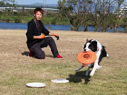ペット総合科 ドッグトレーナーによるデモンストレーション のイメージ