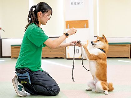 【来校型】ペット総合科 ドッグトレーナーコース 子犬のしつけ方法を知ろう！ のイメージ