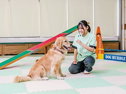 【来校型】ペット総合科 ドッグトレーナーコース しつけ体験 のイメージ