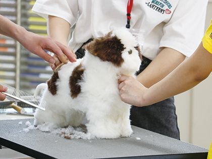 【来校型】ペット総合科 ドッグマネキンのカット実習体験 のイメージ