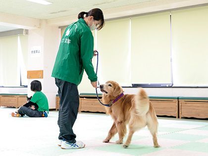 【来校型】ペット総合科 ドッグトレーナーコース ハンドラー体験 ～ワンちゃんを綺麗に歩かせてみよう～ のイメージ