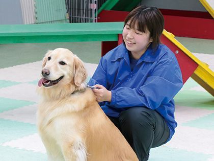 【来校型】動物看護科 予防医学フィラリア予防について のイメージ