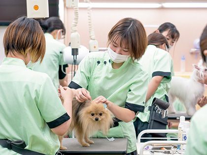 【来校型】ペット総合科 トリマーコース＆ペットアドバイザーコース ワンちゃんのおめかしグッズ作り体験 のイメージ
