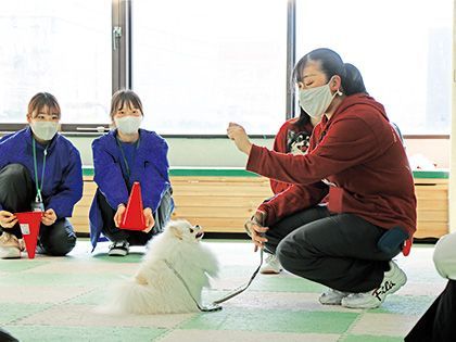 【来校型】ペット総合科 ドッグトレーナーコース ワンちゃんのしつけ体験 のイメージ