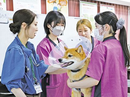 【来校型】動物看護科 保護動物の現状～私たちができる保護活動って？～ のイメージ