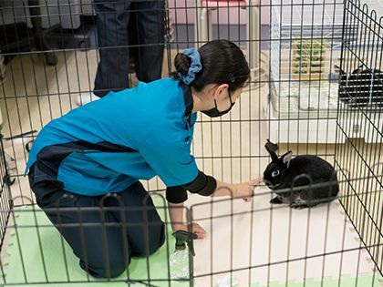 【来校型】動物看護科 動物看護師のお仕事～小動物の健康管理～ のイメージ