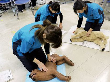 【来校型】動物看護科 動物看護師のお仕事～応急処置をマスターしてみよう！～ のイメージ