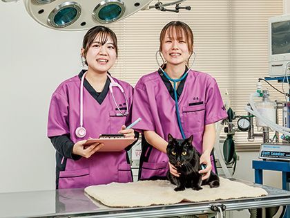 【来校型】動物看護科 気になる！動物看護師の仕事と未来 のイメージ