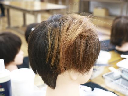 カット カラー ヘアアレンジ体験 のイメージ