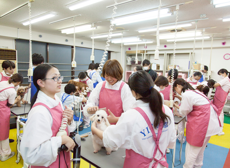 入学に関するお問い合わせ 京都の専門学校 Yic京都 入学に関するお問い合わせ 京都の専門学校 Yic京都